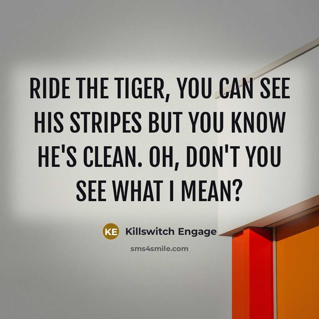 “Ride the tiger, you can see his stripes but you know he's clean. Oh, don't you see what I mean?” quote by Killswitch Engage