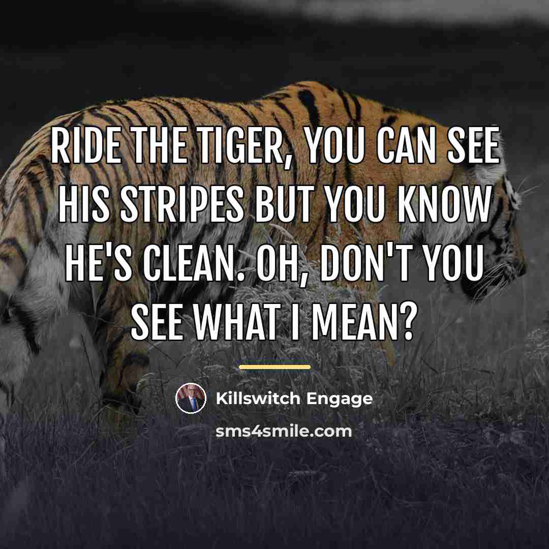 “Ride the tiger, you can see his stripes but you…” quote by Killswitch Engage