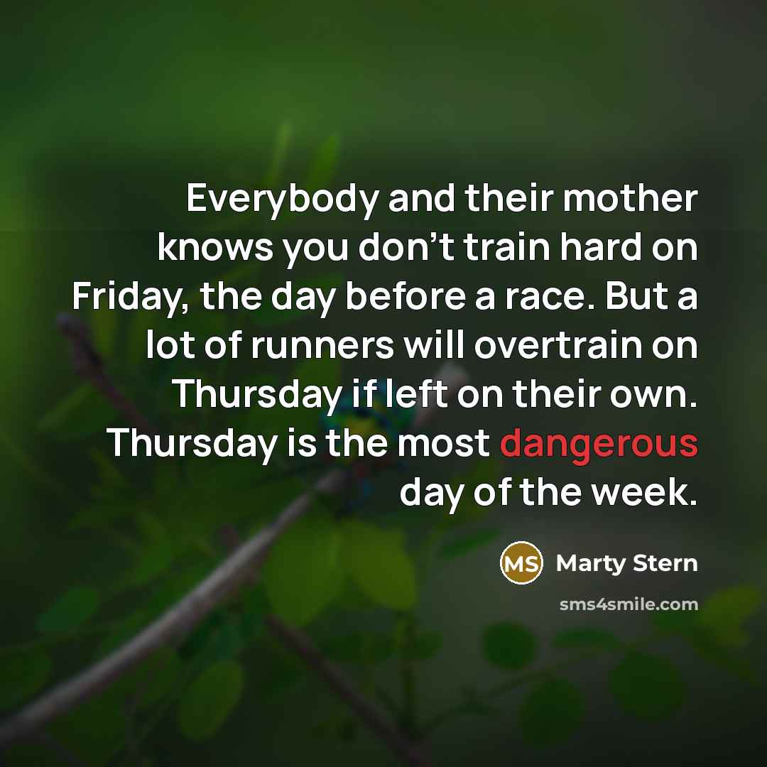 “Everybody and their mother knows you don't train hard on…” quote by Marty Stern