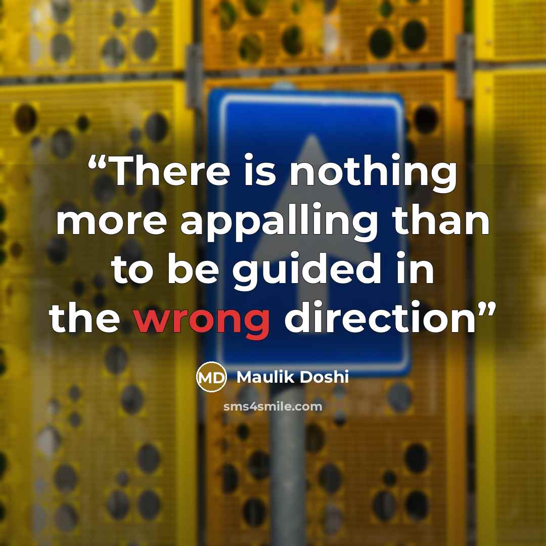 “There is nothing more appalling than to be guided in the wrong direction” quote by Maulik Doshi