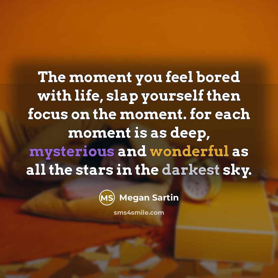 “The moment you feel bored with life, slap yourself then…” quote by Megan Sartin