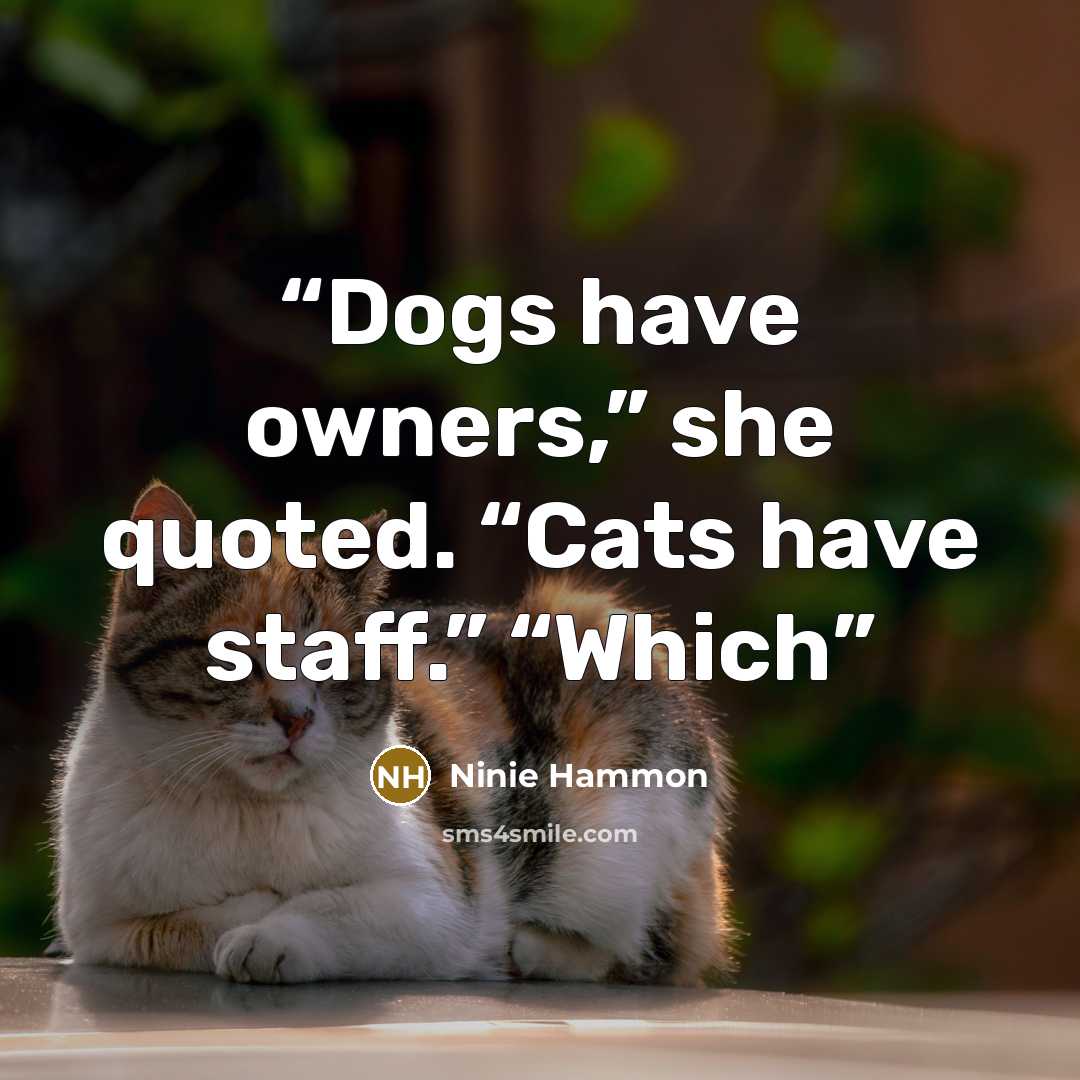 “Dogs have owners,” she quoted. “Cats have staff.” “Which” quote by Ninie Hammon