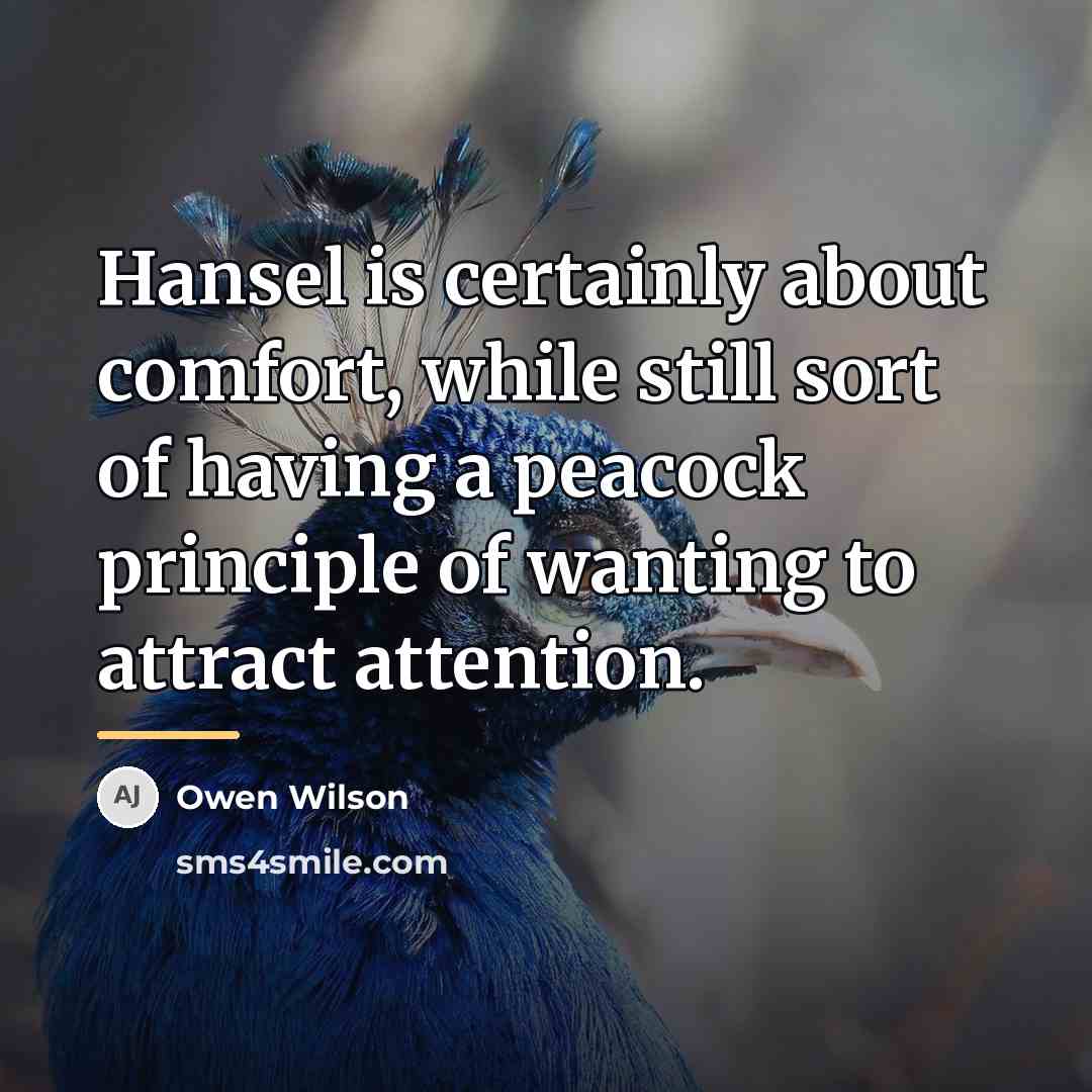 “Hansel is certainly about comfort, while still sort of having…” quote by Owen Wilson