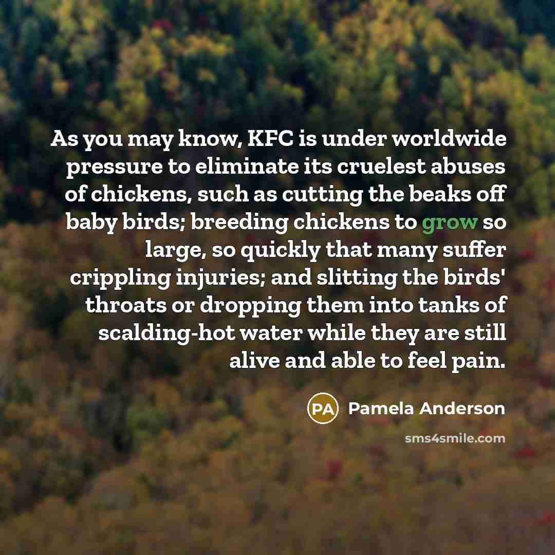 “As you may know, KFC is under worldwide pressure to…” quote by Pamela Anderson