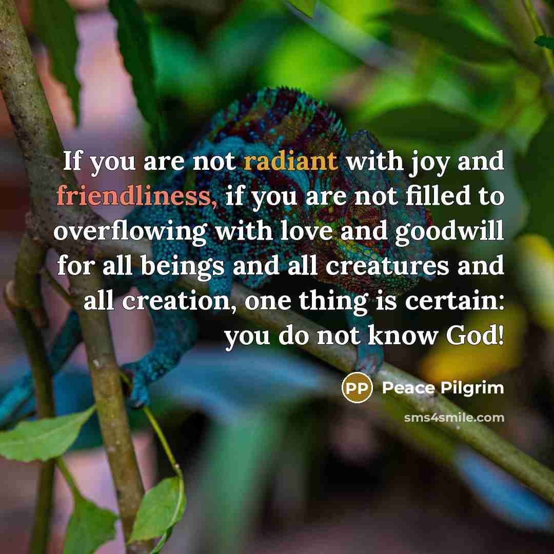 “If you are not radiant with joy and friendliness, if…” quote by Peace Pilgrim