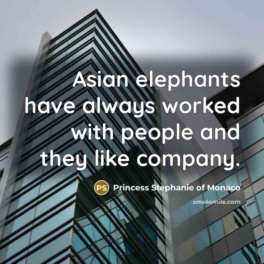 “Asian elephants have always worked with people and they like…” quote by Princess Stephanie of Monaco