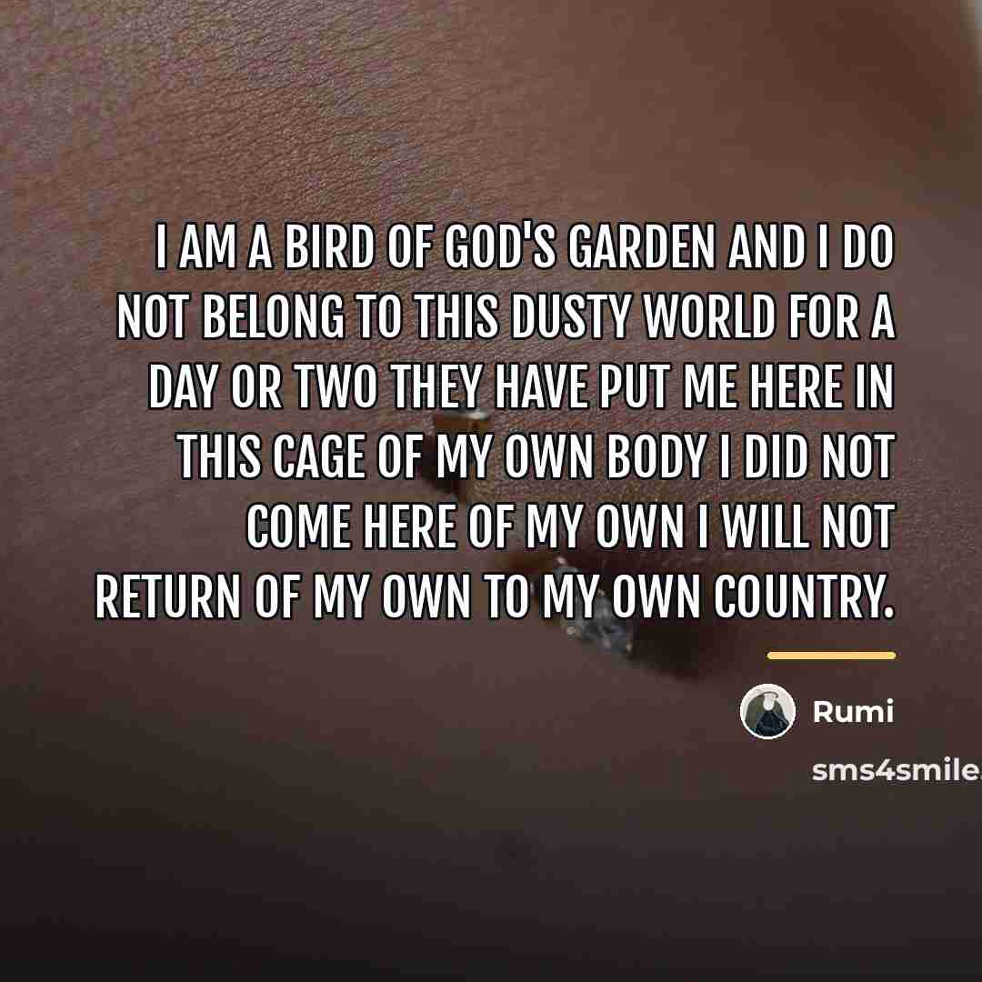 “I am a bird of God's garden and I do…” quote by Rumi