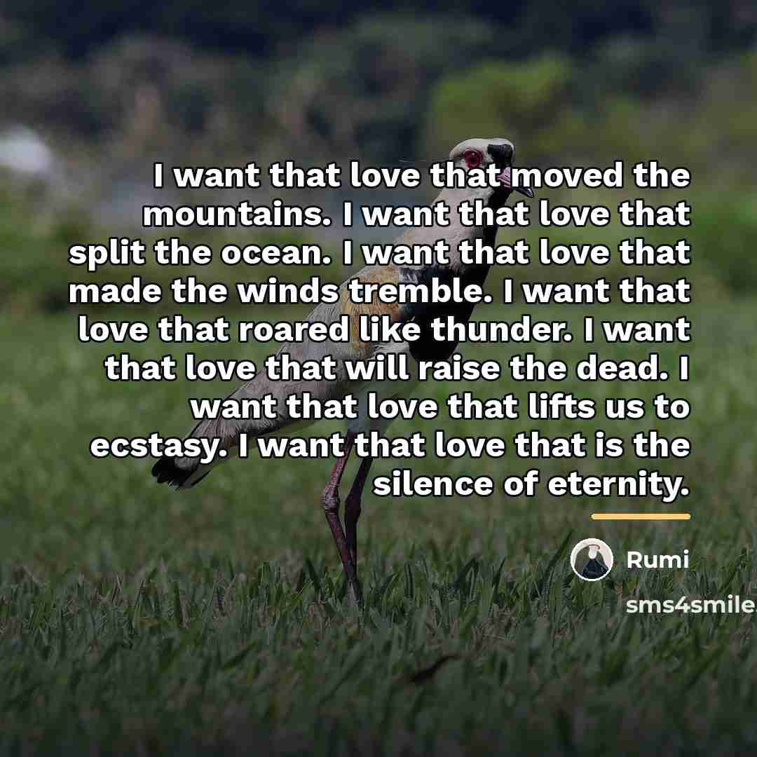 “I want that love that moved the mountains. I want…” quote by Rumi
