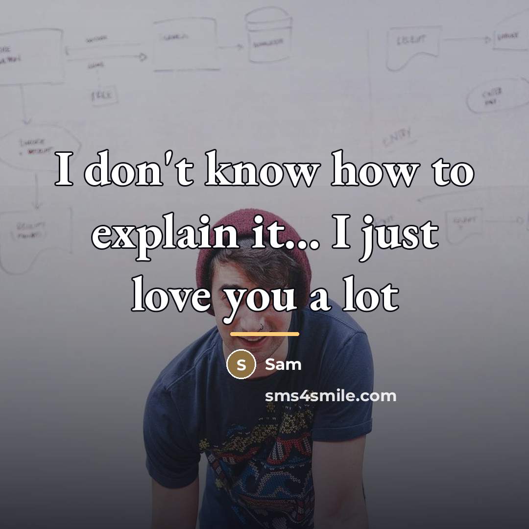 “I don't know how to explain it... I just love…” quote by Sam