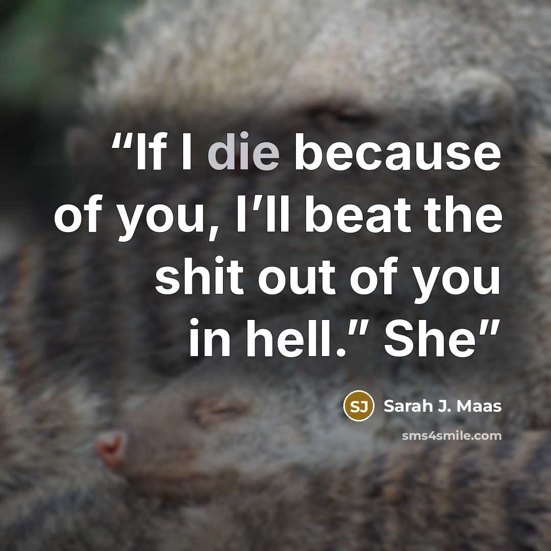 “If I die because of you, I’ll beat the shit out of you in hell.” She” quote by Sarah J. Maas
