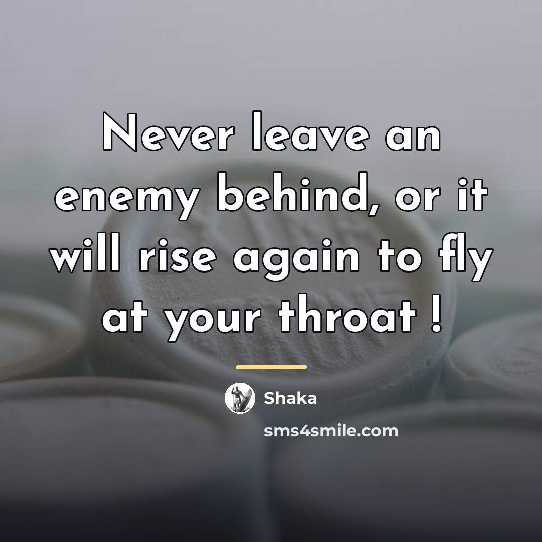 “Never leave an enemy behind, or it will rise again…” quote by Shaka