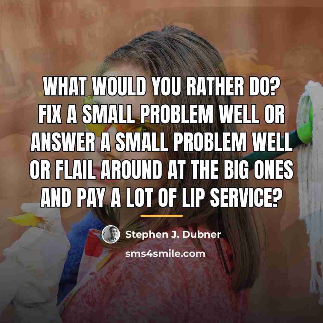 “What would you rather do? Fix a small problem well…” quote by Stephen J. Dubner