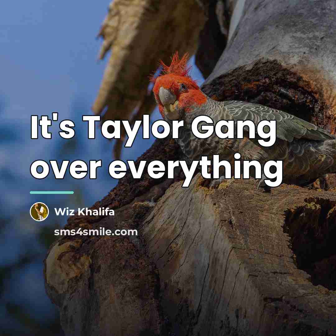 “It's Taylor Gang over everything…” quote by Wiz Khalifa