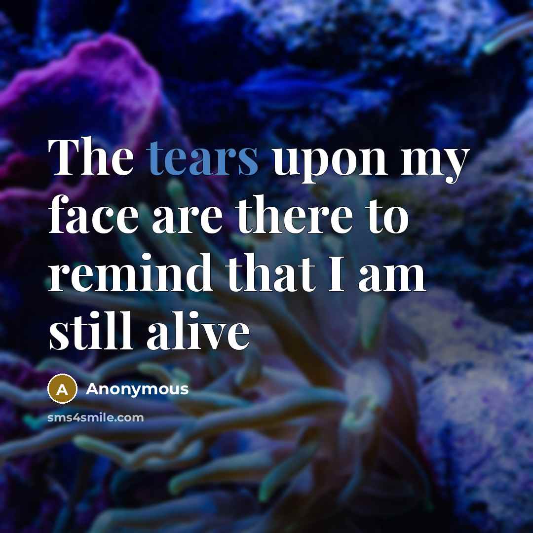 “The tears upon my face are there to remind that…” quote by Anonymous