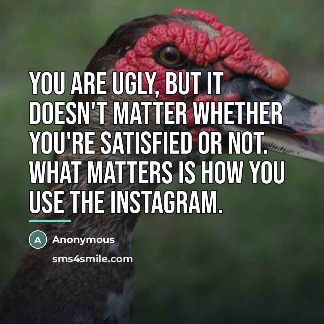 “You are ugly, but it doesn't matter whether you're satisfied…” quote by Anonymous