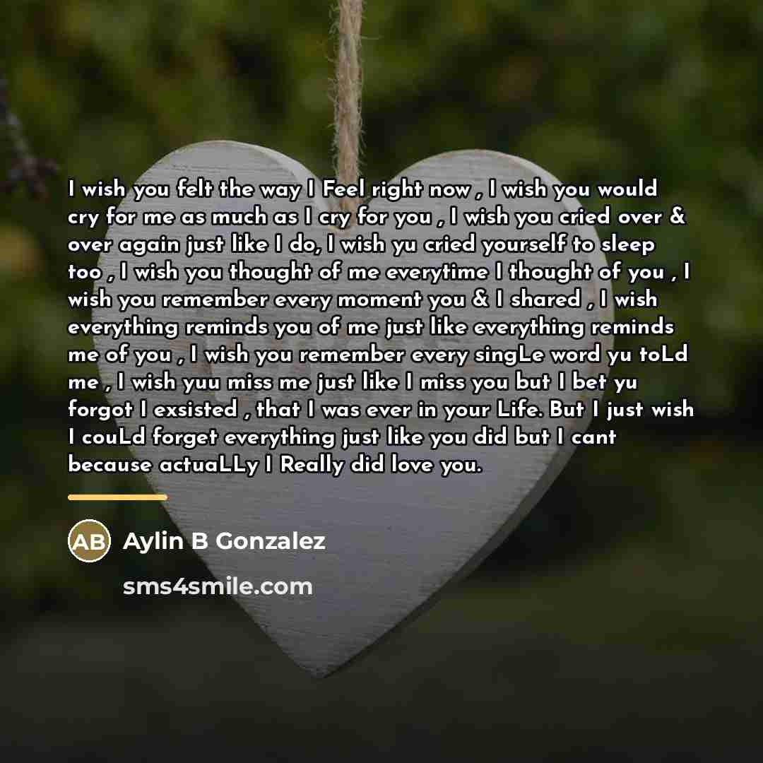 “I wish you felt the way I Feel right now…” quote by Aylin B Gonzalez