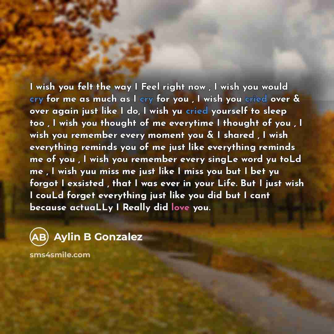“I wish you felt the way I Feel right now , I wish you would cry for me as much as I cry for you , I wish you cried over & over again just like I do, I wish yu cried yourself to sleep too , I wish you thought of me everytime I thought of you , I wish you remember every moment you & I shared , I…” quote by Aylin B Gonzalez