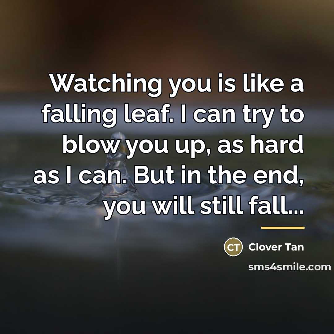 “Watching you is like a falling leaf. I can try…” quote by Clover Tan