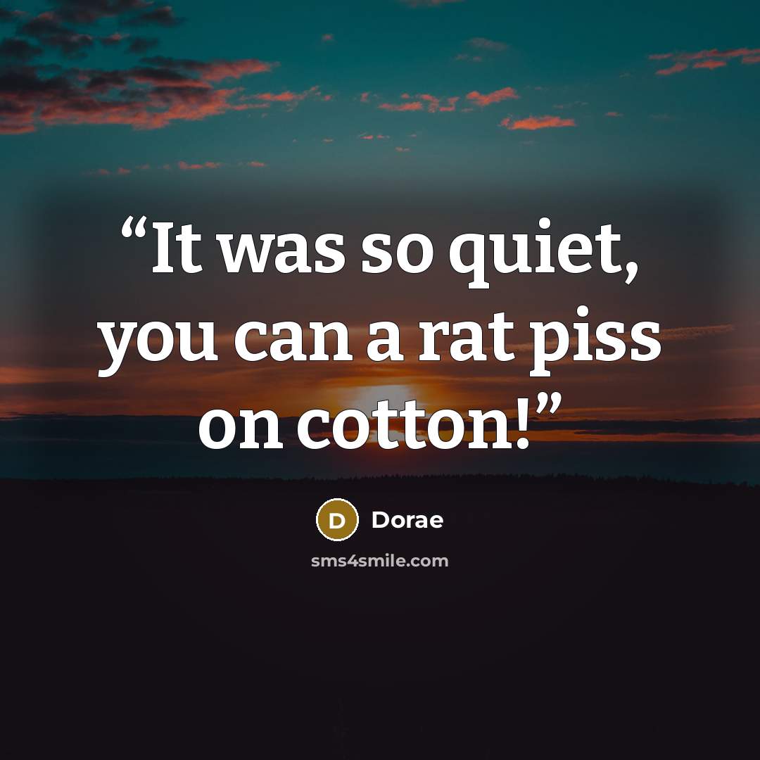 “It was so quiet, you can a rat piss on cotton!” quote by Dorae
