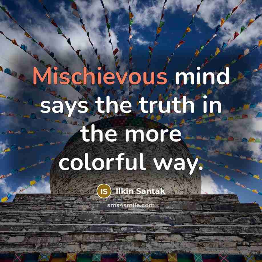 “Mischievous mind says the truth in the more colorful way.…” quote by Ilkin Santak