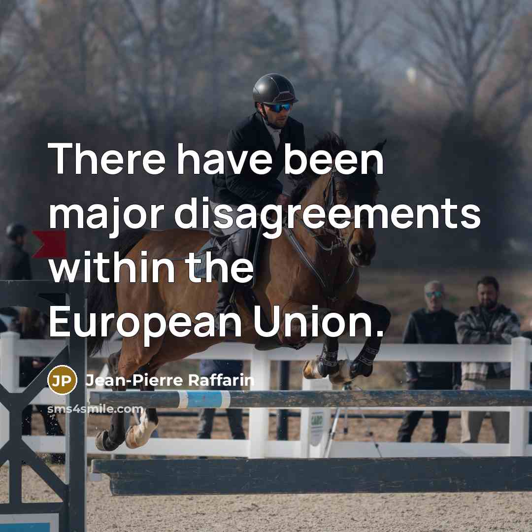 “There have been major disagreements within the European Union.…” quote by Jean-Pierre Raffarin