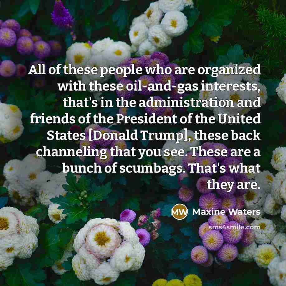 “All of these people who are organized with these oil-and-gas…” quote by Maxine Waters