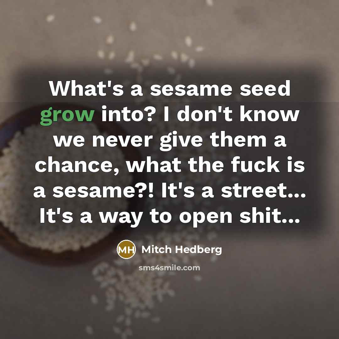 “What's a sesame seed grow into? I don't know we never give them a chance, what the fuck is a sesame?! It's a street... It's a way to open shit...” quote by Mitch Hedberg
