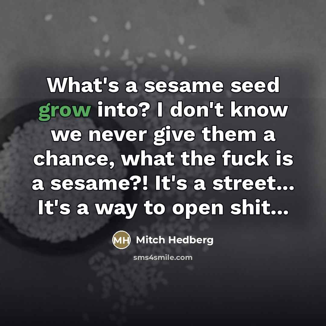 “What's a sesame seed grow into? I don't know we…” quote by Mitch Hedberg