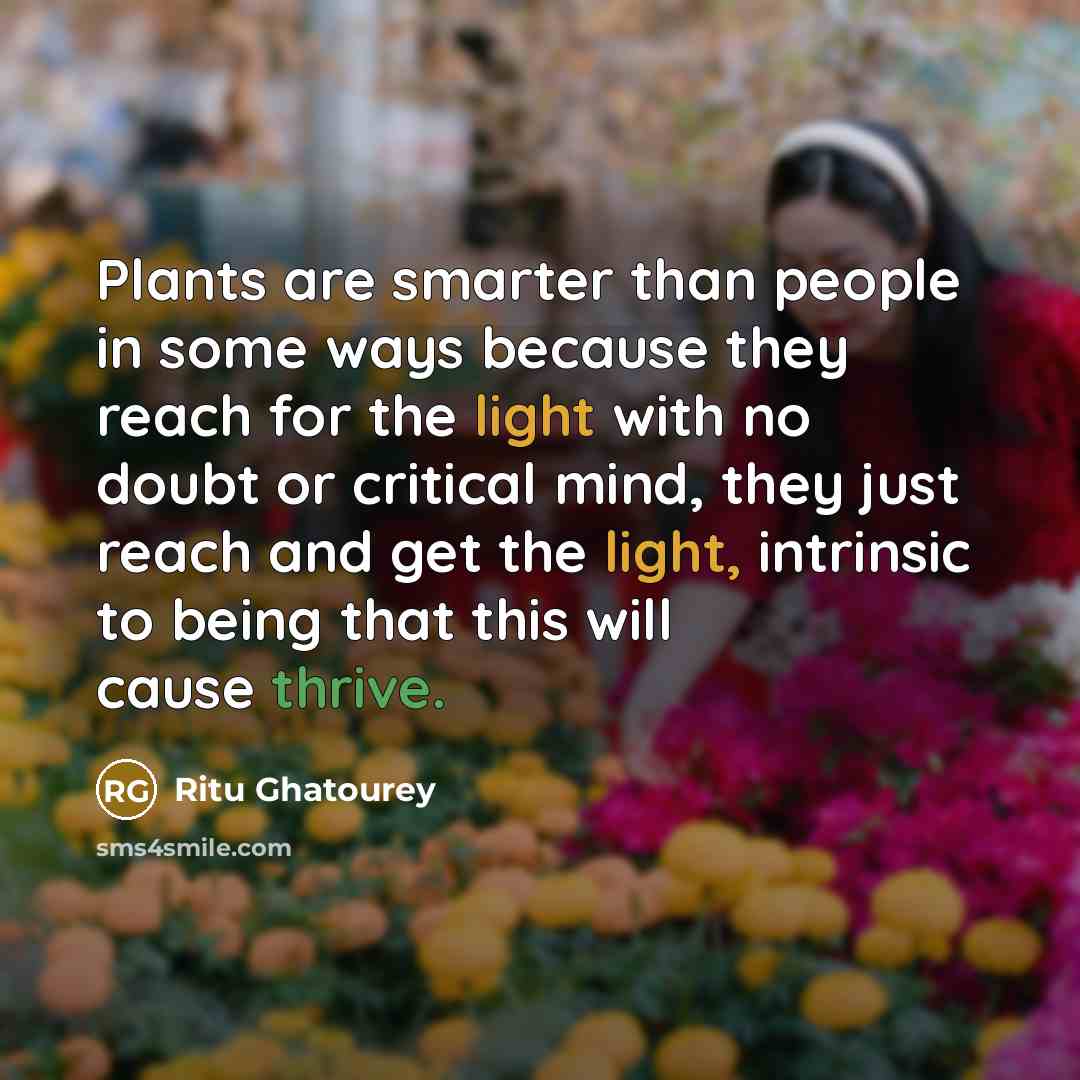 “Plants are smarter than people in some ways because they…” quote by Ritu Ghatourey