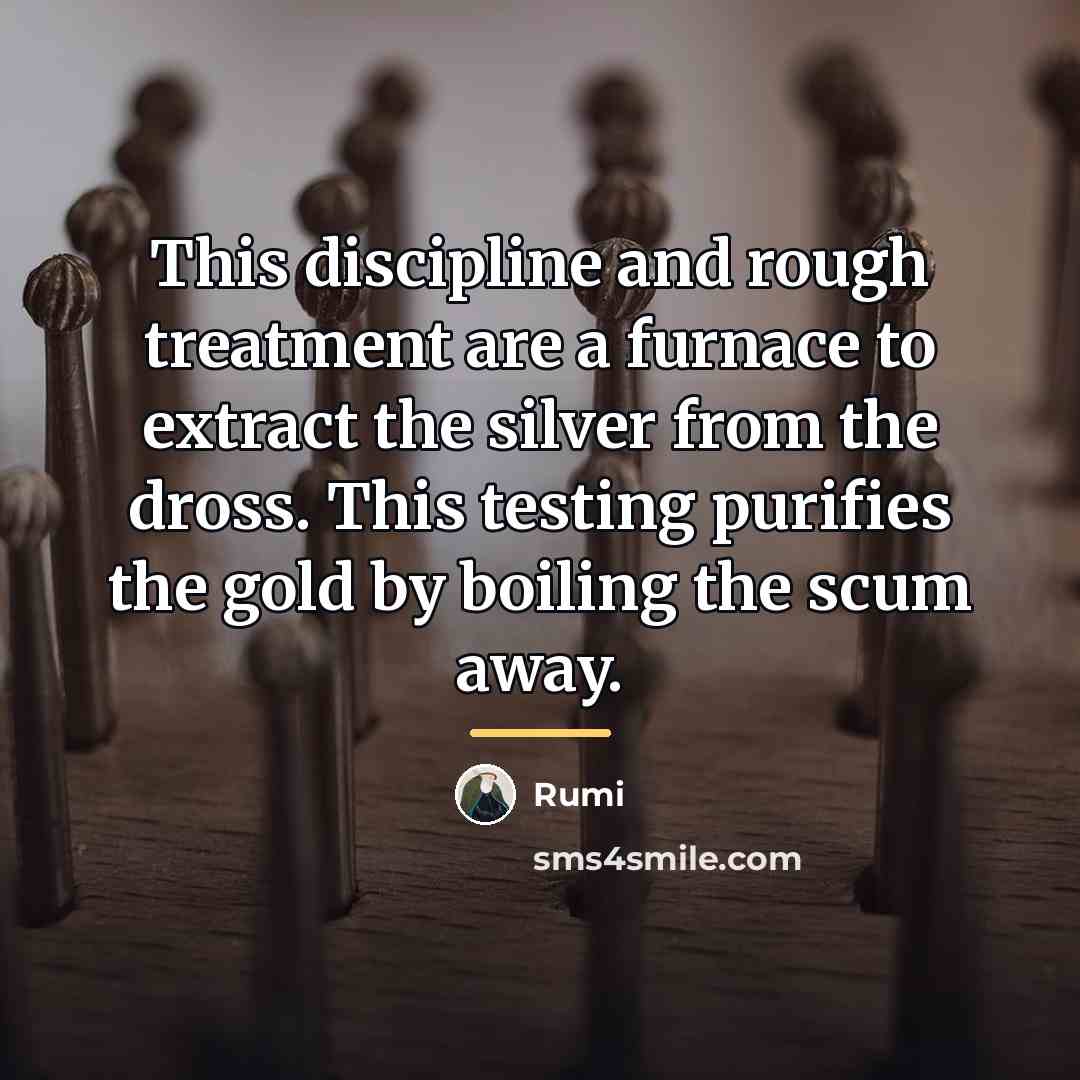 “This discipline and rough treatment are a furnace to extract…” quote by Rumi