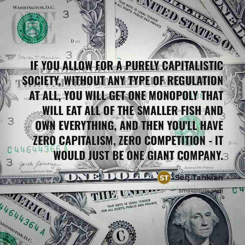 “If you allow for a purely capitalistic society, without any…” quote by Serj Tankian