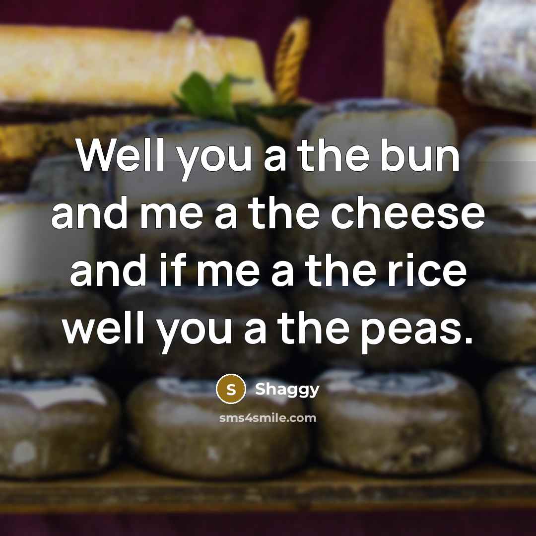 “Well you a the bun and me a the cheese and if me a the rice well you a the peas.” quote by Shaggy