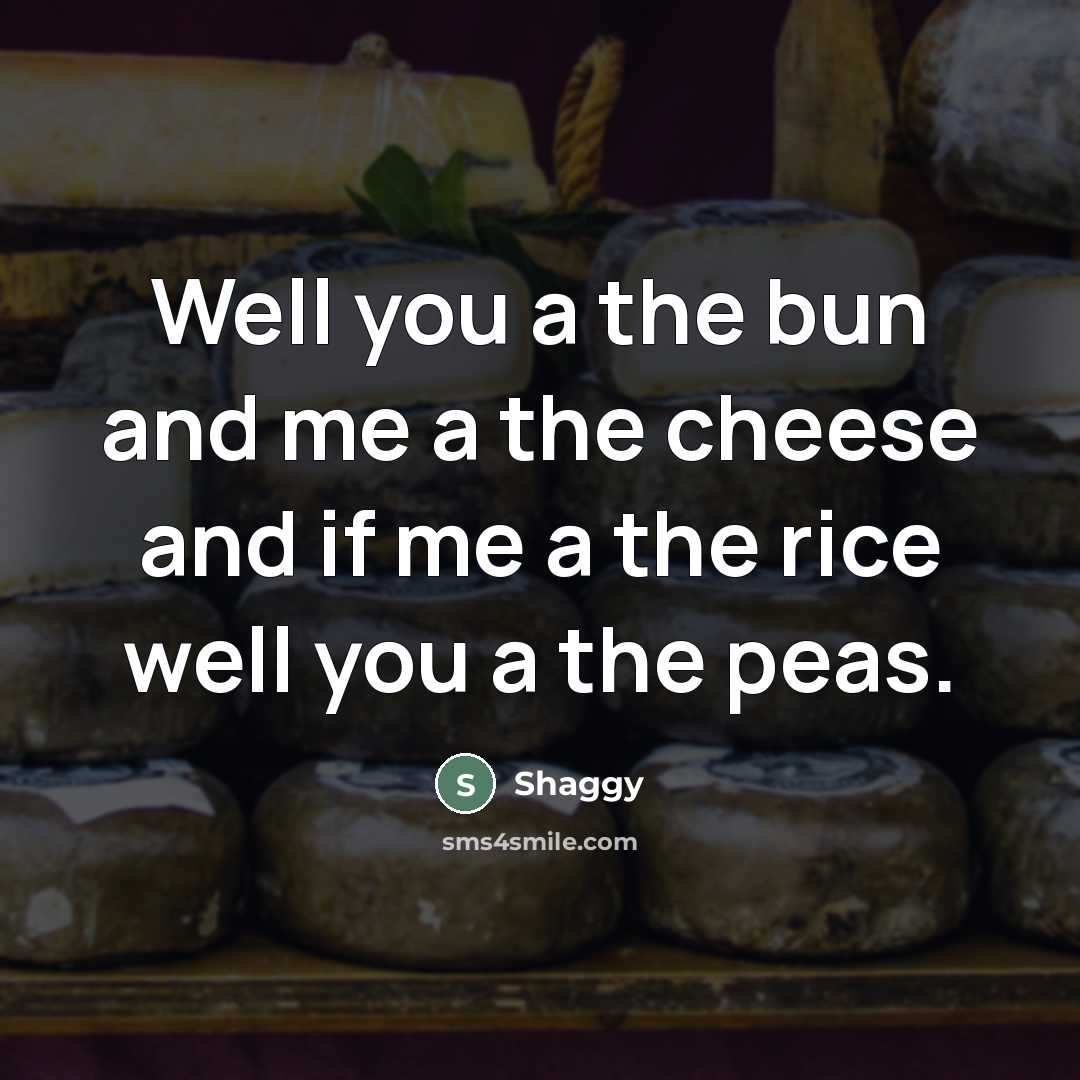 “Well you a the bun and me a the cheese…” quote by Shaggy