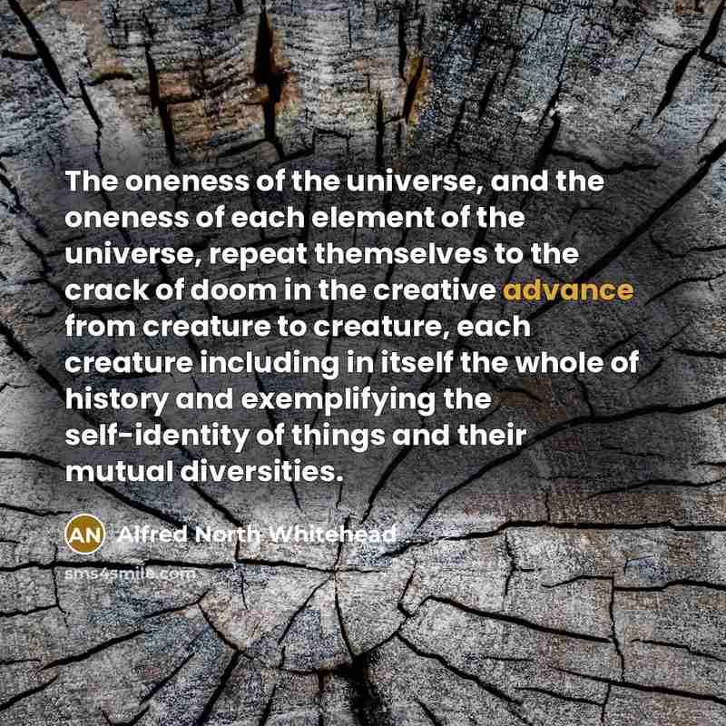 “The oneness of the universe, and the oneness of each…” quote by Alfred North Whitehead