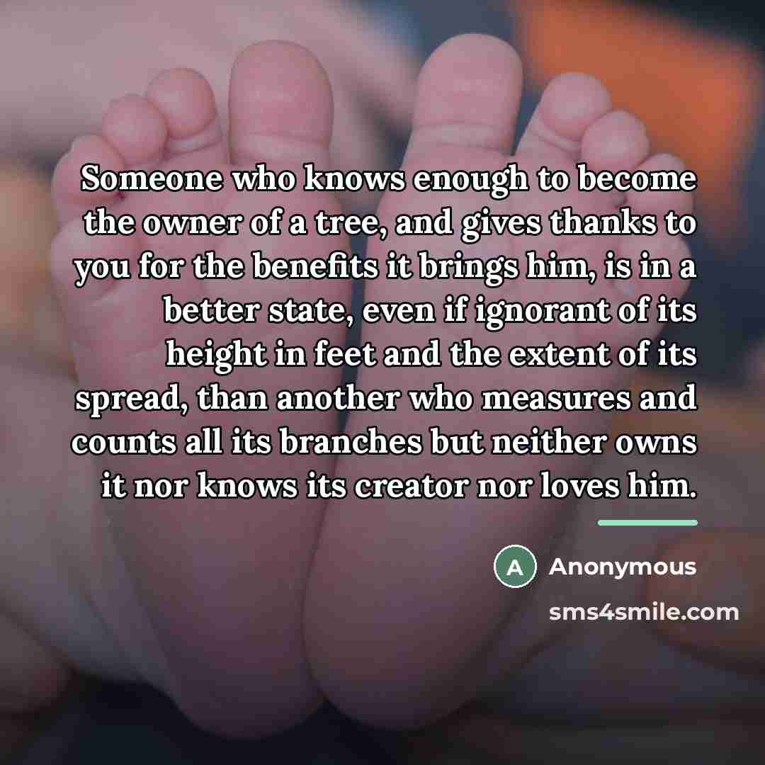 “Someone who knows enough to become the owner of a…” quote by Anonymous