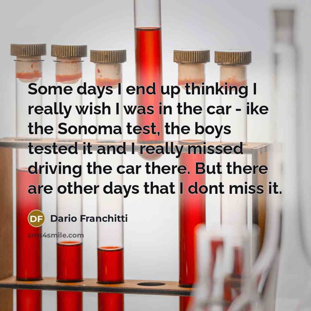 “Some days I end up thinking I really wish I…” quote by Dario Franchitti