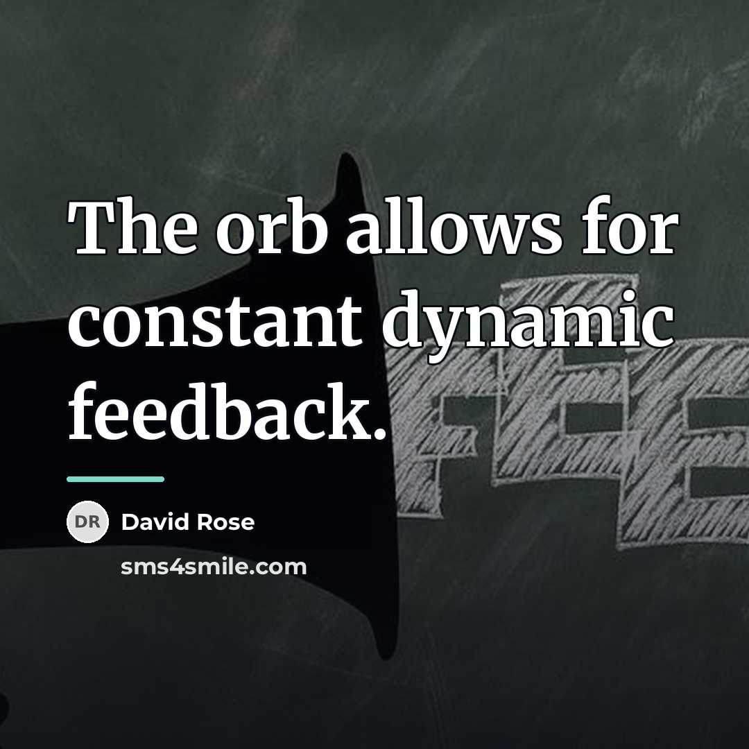 “The orb allows for constant dynamic feedback.…” quote by David Rose