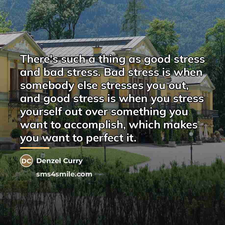 “There's such a thing as good stress and bad stress.…” quote by Denzel Curry