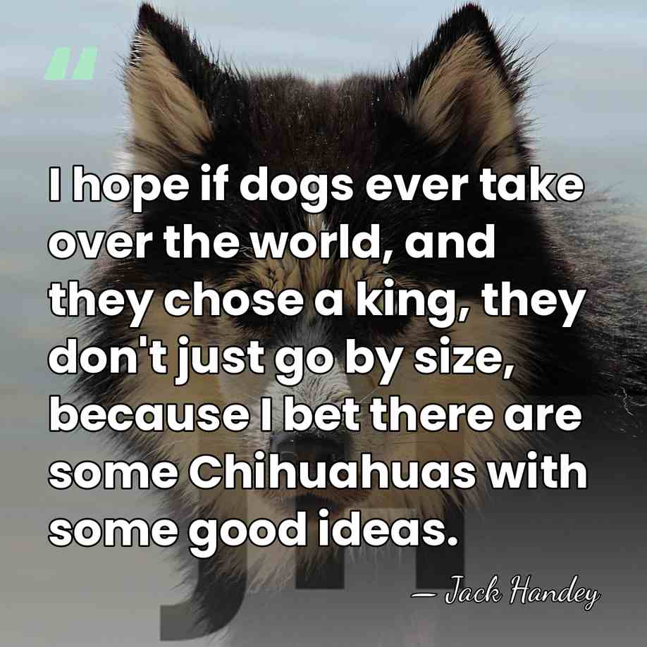 I hope if dogs ever take over the world, and they chose&hellip; - Jack Handey