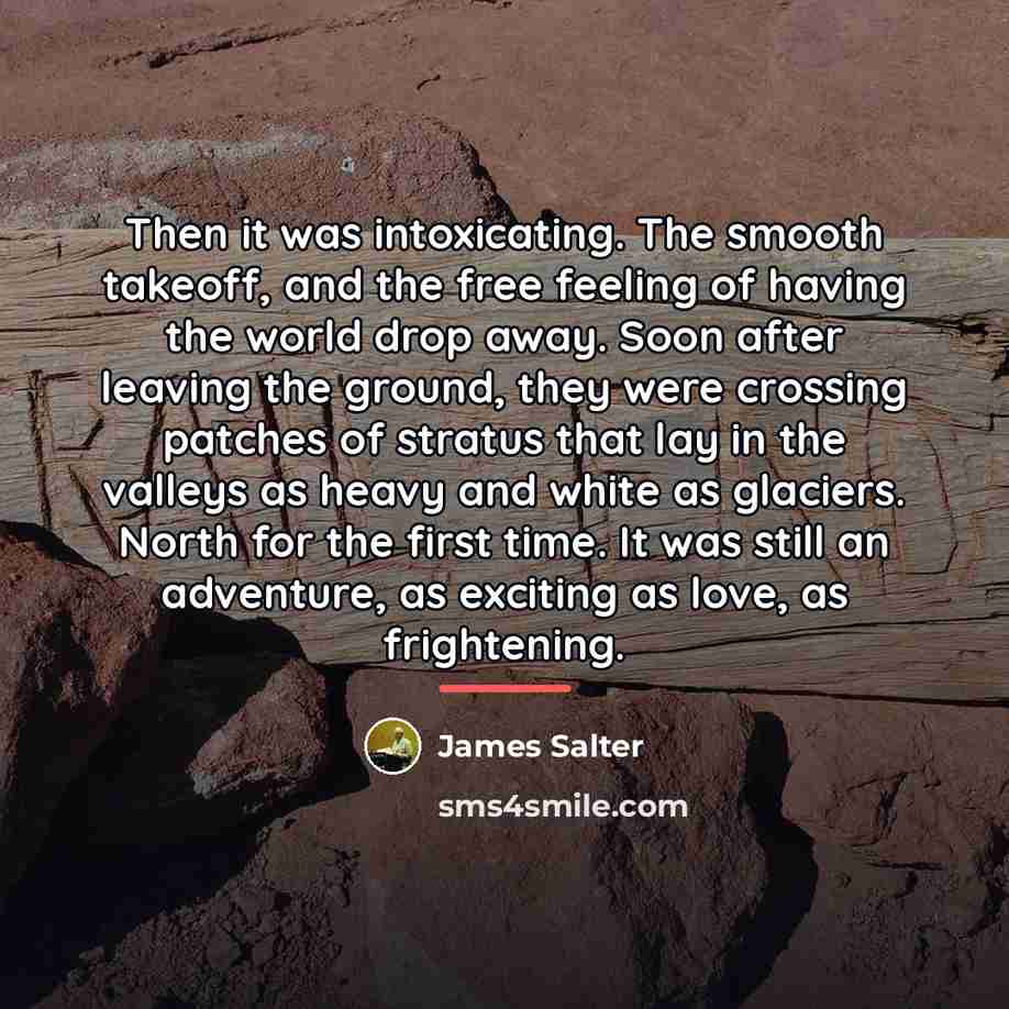 “Then it was intoxicating. The smooth takeoff, and the free…” quote by James Salter