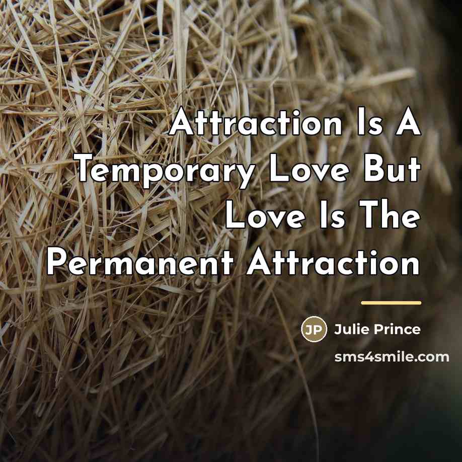 “Attraction Is A Temporary Love But Love Is The Permanent…” quote by Julie Prince