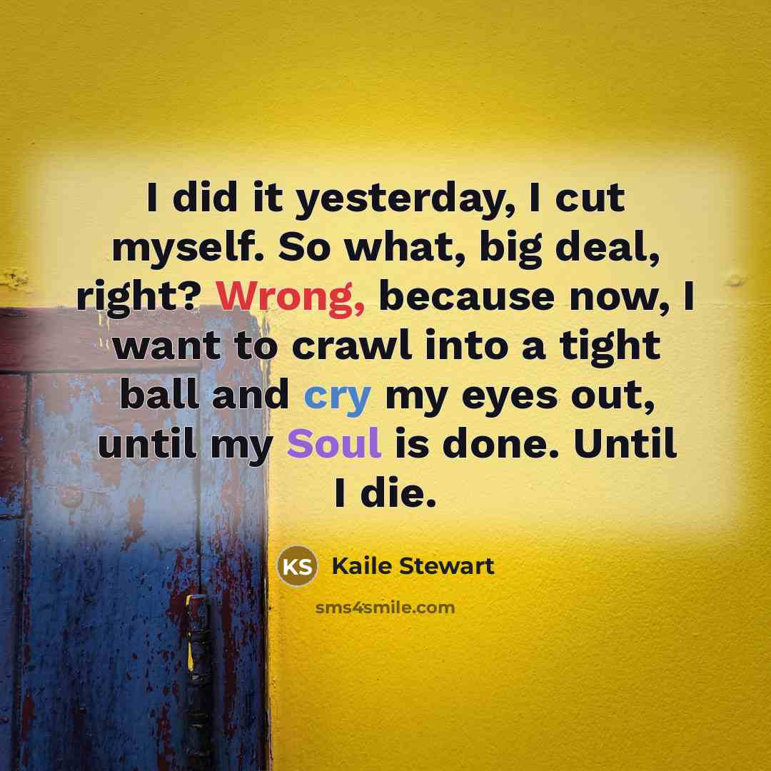 “I did it yesterday, I cut myself. So what, big…” quote by Kaile Stewart