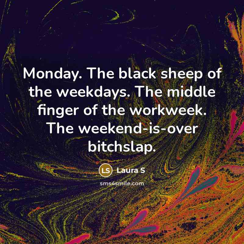 “Monday. The black sheep of the weekdays. The middle finger…” quote by Laura S