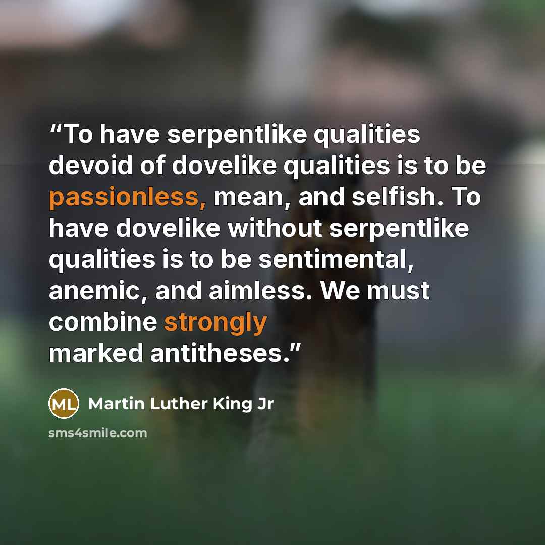 “To have serpentlike qualities devoid of dovelike qualities is to be passionless, mean, and selfish. To have dovelike without serpentlike qualities is to be sentimental, anemic, and aimless. We must combine strongly marked antitheses.” quote by Martin Luther King Jr