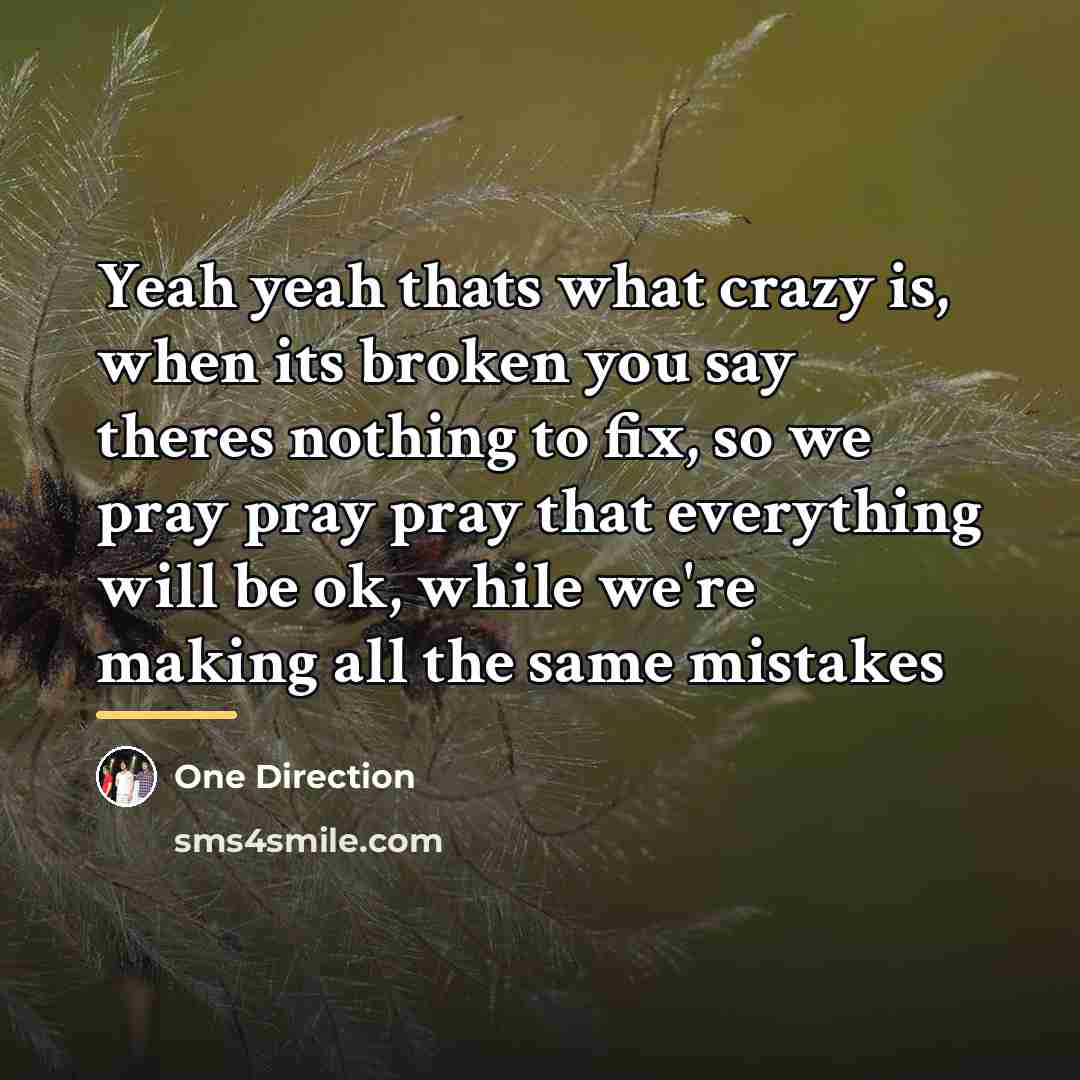 “Yeah yeah thats what crazy is, when its broken you…” quote by One Direction