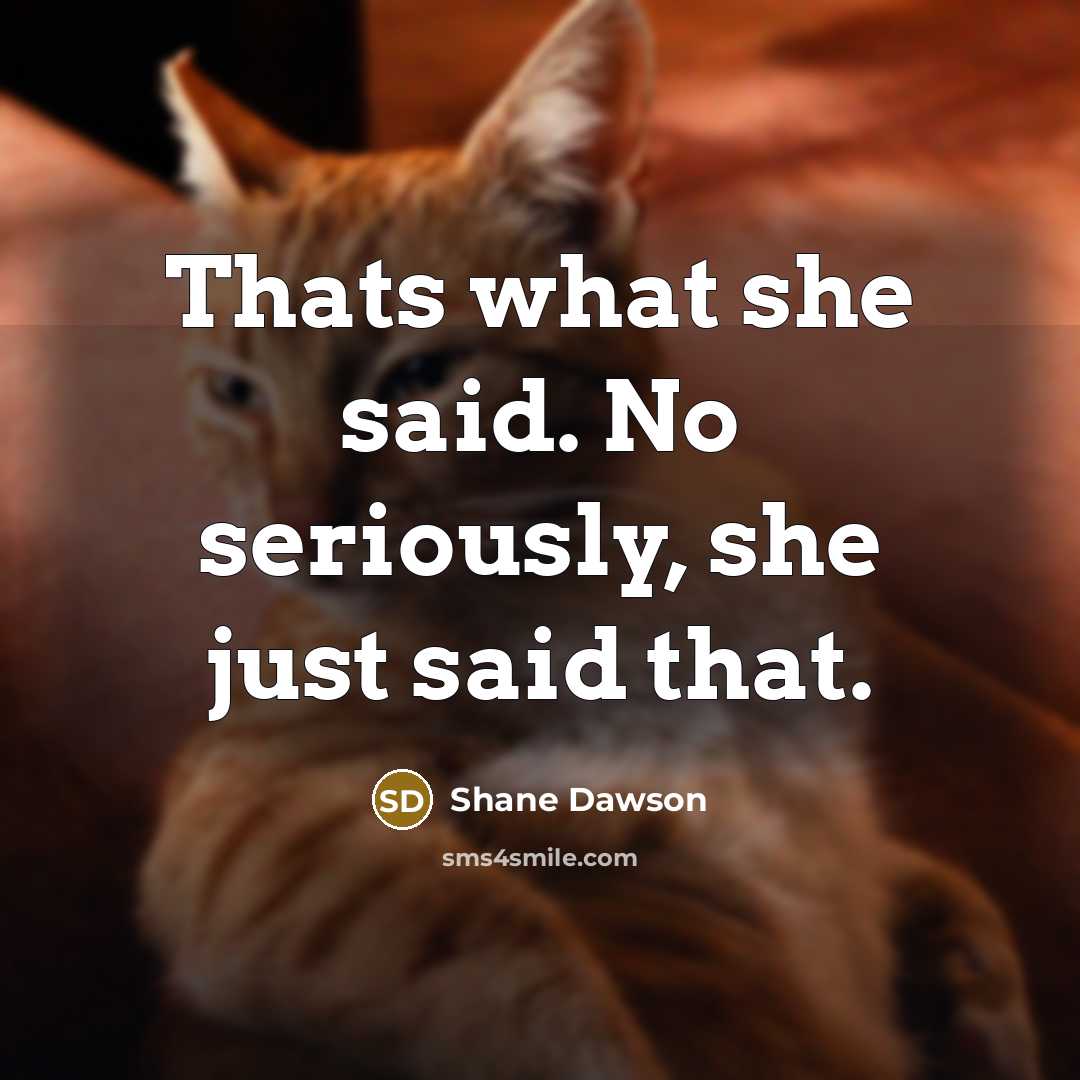 “Thats what she said. No seriously, she just said that.…” quote by Shane Dawson