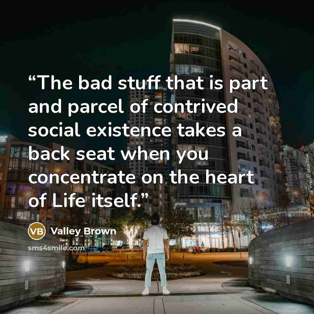 “The bad stuff that is part and parcel of contrived social existence takes a back seat when you concentrate on the heart of Life itself.” quote by Valley Brown