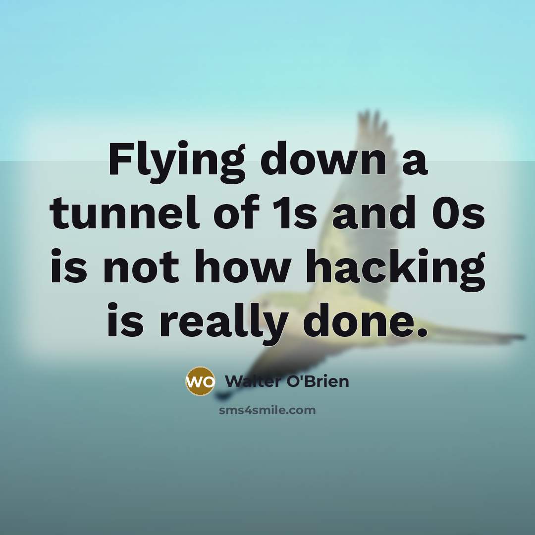 “Flying down a tunnel of 1s and 0s is not…” quote by Walter O'Brien