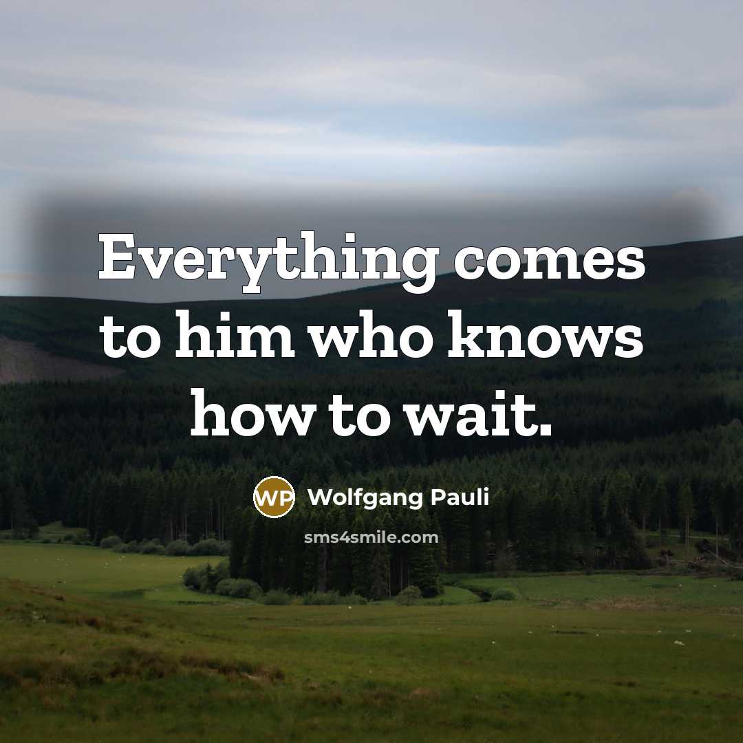 “Everything comes to him who knows how to wait.” quote by Wolfgang Pauli