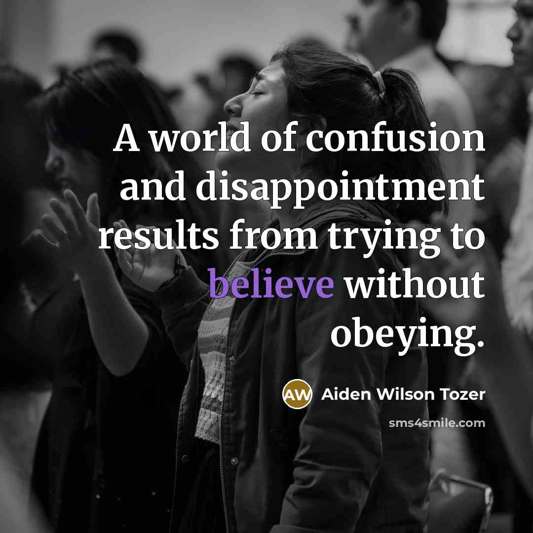 “A world of confusion and disappointment results from trying to…” quote by Aiden Wilson Tozer
